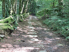 Colcerrow Quarry tramway from the end of the viaduct, June 2023