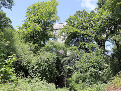 Treffry's Viaduct, June 2023