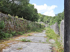 Trevanney Dry, June 2023