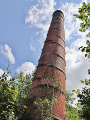 Trevanney Dry, June 2023