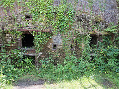 Trevanney Dry, June 2023