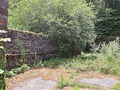 Trevanney Dry, June 2023