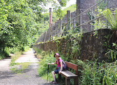 Trevanney Dry, June 2023
