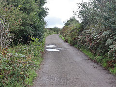 The Redruth & Chacewater Railway from Wheal Buller to Penance, September 2023