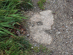 Along the route of theTresavean Line, September 2023