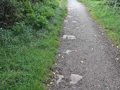Along the route of theTresavean Line, September 2023