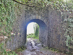 Bridge under the Tresavean Line, September 2023