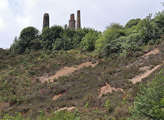 
Wheal Raven, Tolgus Valley, June 2023