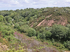 
Wheal Raven, tipping from the A30 construction, Tolgus Valley, June 2023