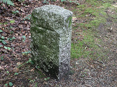 'T', the Treffrey side of the boundary stone beside the tramway, Carmears, June 2023