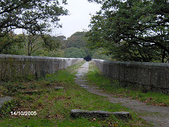 Treffrys Viaduct in a downpour, Luxulyan, October 2005
