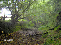 Tramway to the North of Treffrys Viaduct, Luxulyan, October 2005
