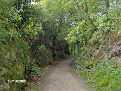 
Wenfordbridge branch trackbed, October 2005