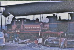 LBSCR 55 'Stepney' at the Bluebell Railway, March 1969