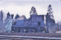 NLR 2650 at the Bluebell Railway, March 1969