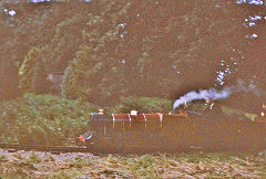'Princess 2003', Built in 1947, at Bressingham, August 1968