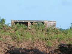 Observation post near Fritham, New Forest, September 2012