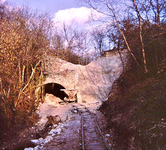 The bridge from the kilns to the quarry, Brockham Museum, March 1967