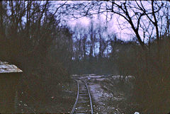 The cutting from the bridge, Brockham Museum, January 1969