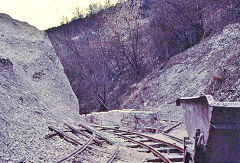 The cutting (or the ex-bridge), Brockham Museum, April 1970