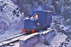 OK 7741 and Fauld coach in the cutting, Brockham Museum, May 1970