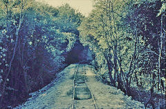 The embankment on the other side, Brockham Museum, June 1970