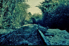 The embankment on the other side, Brockham Museum, June 1970
