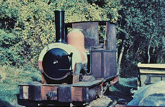 
'Townsend Hook', Fletcher Jennings 172 of 1880, Brockham Museum, June 1970