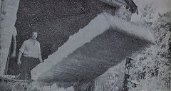 The end of Gould's Shed wall, Brockham, 1967, © Photo courtesy of 'Brockham Museum News' and A W Deller