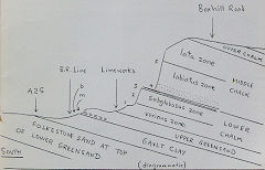 A geological section through Brockham Limeworks, © Photo courtesy of 'Brockham Museum News' contributors