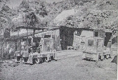 The cottage with 'Monty' and 'The Major', 1962, © Photo courtesy of 'Brockham Museum News' contributors