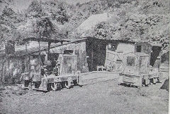 
The cottage with 'Monty' and 'The Major', 1962, © Photo courtesy of 'Brockham Museum News' contributors