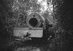The arrival of 'Peter', Brockham Museum, August 1965, © Photo courtesy of Michael Bishop