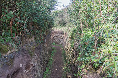 
Dollmann Battery, Guernsey, September 2014