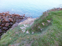 
St Clair smugglers path, Guernsey, September 2014