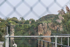 
Juas Quarry, Guernsey, September 2014