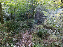 
Petit Bot Watermill dam, Guernsey, September 2014