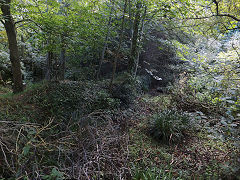 
Petit Bot Watermill dam, Guernsey, September 2014