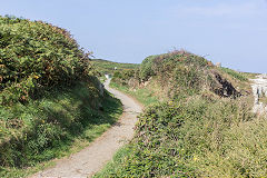 
Railway cutting near Fort Doyle, Guernsey, September 2014