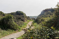 
Railway cutting near Fort Doyle, Guernsey, September 2014