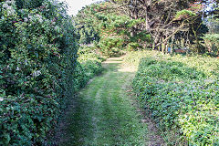 
The railway embankment trackbed, Guernsey, September 2014