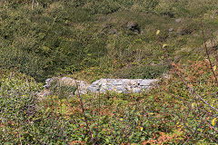 
Behind the engine house, Little Sark Silver Mine, September 2014