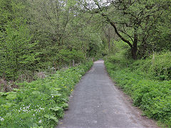 
On the route from Waterhouses to Wetton Mill, May 2023