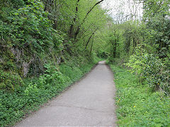 
On the route from Waterhouses to Wetton Mill, May 2023