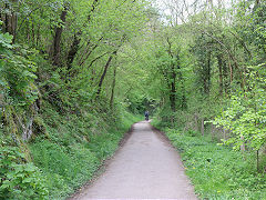 
On the route from Waterhouses to Wetton Mill, May 2023