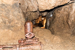 
Temple Mine, Matlock, July 2017