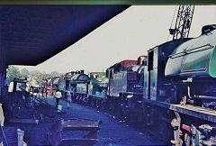 Loco line-up at Keighley, West Yorkshire, September 1971