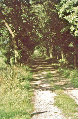 The tramroad approaching the kilns, Kepwick Railway, North Yorkshire, August 1975