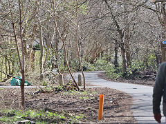 Near Abbey Hey Lane on the Stockport Canal, Manchester, March 2025