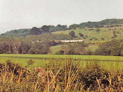 Train in the distance, NYMR, North Yorkshire, June 1982